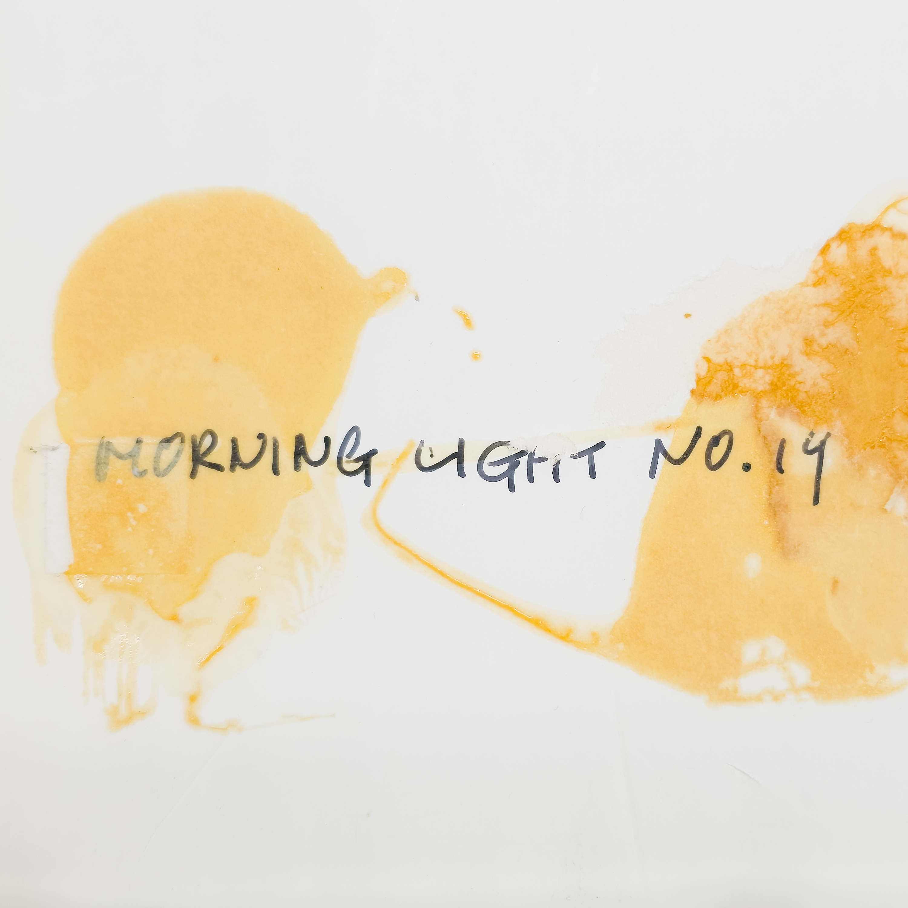 Morning Light #19 - Tomoko Parry