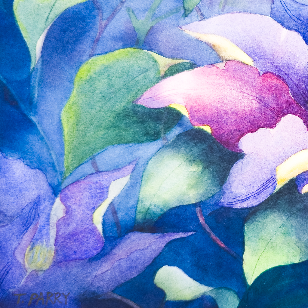 Leatherflower and Clematis Vines