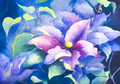 Leatherflower and Clematis Vines