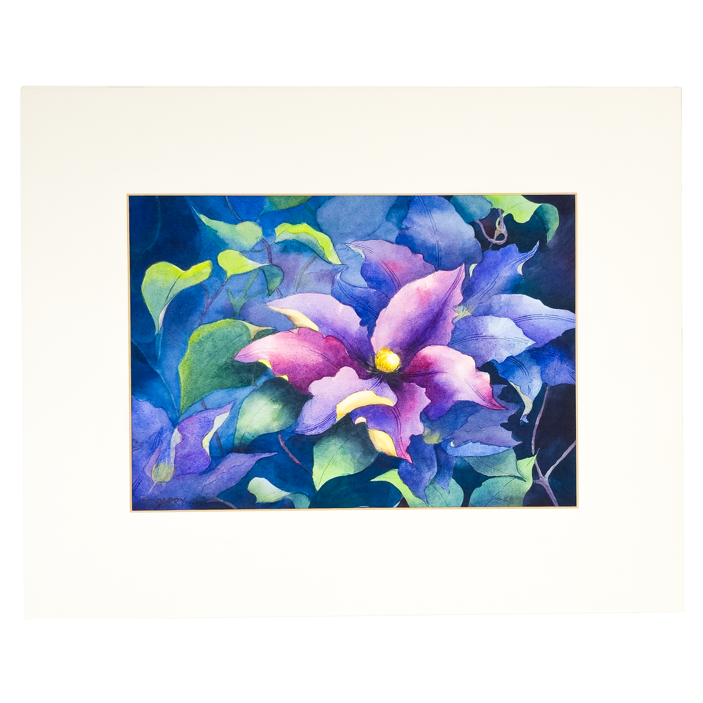 Leatherflower and Clematis Vines