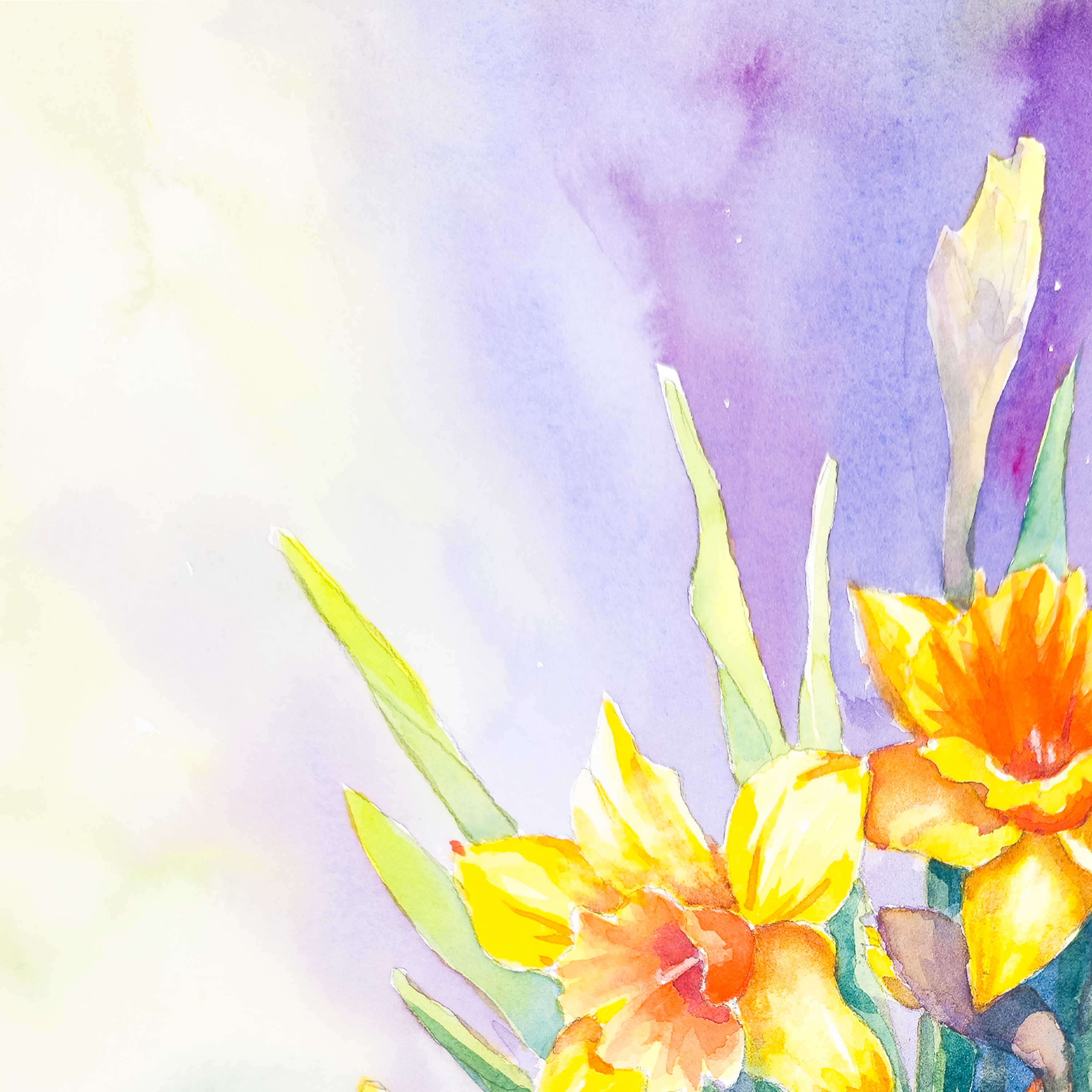 Daffodils in Vase  - Tomoko Parry