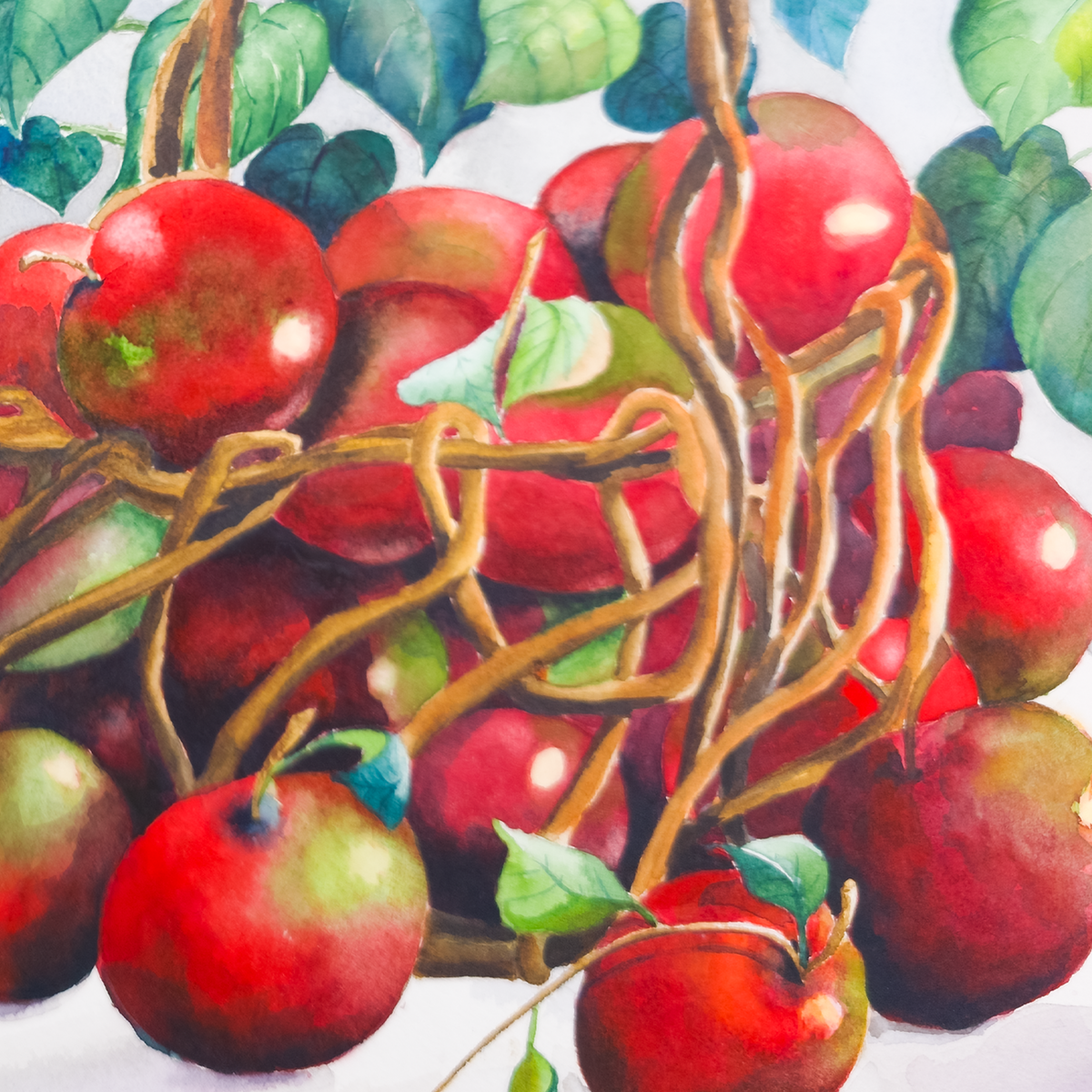 Still Life of Potted Flower and Basket of Apples - Tomoko Parry