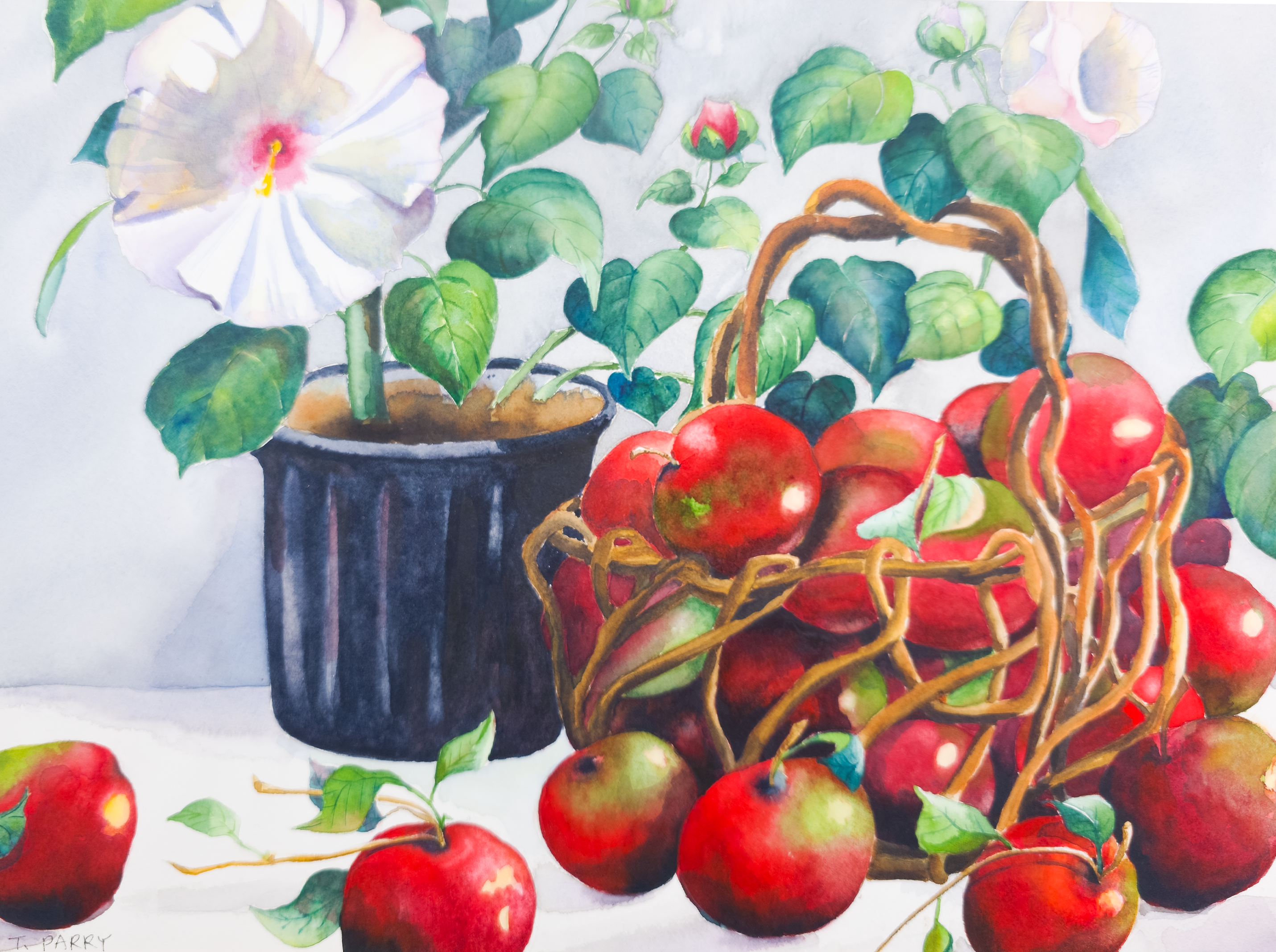 Still Life of Potted Flower and Basket of Apples - Tomoko Parry