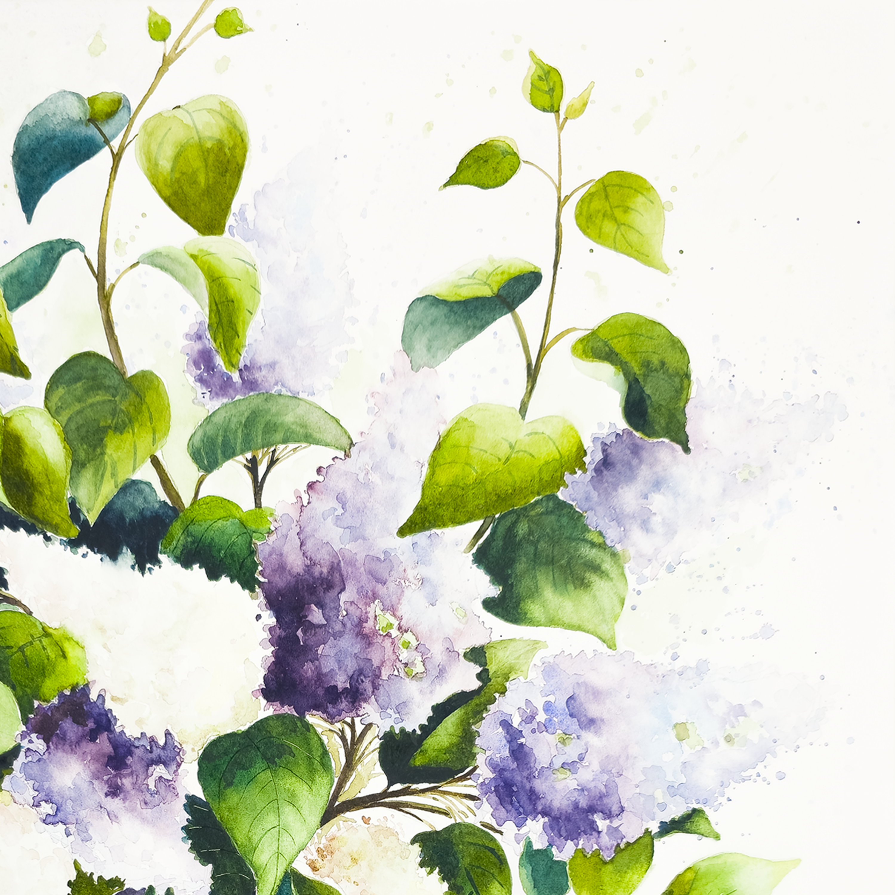 Lilacs in Vase - Tomoko Parry