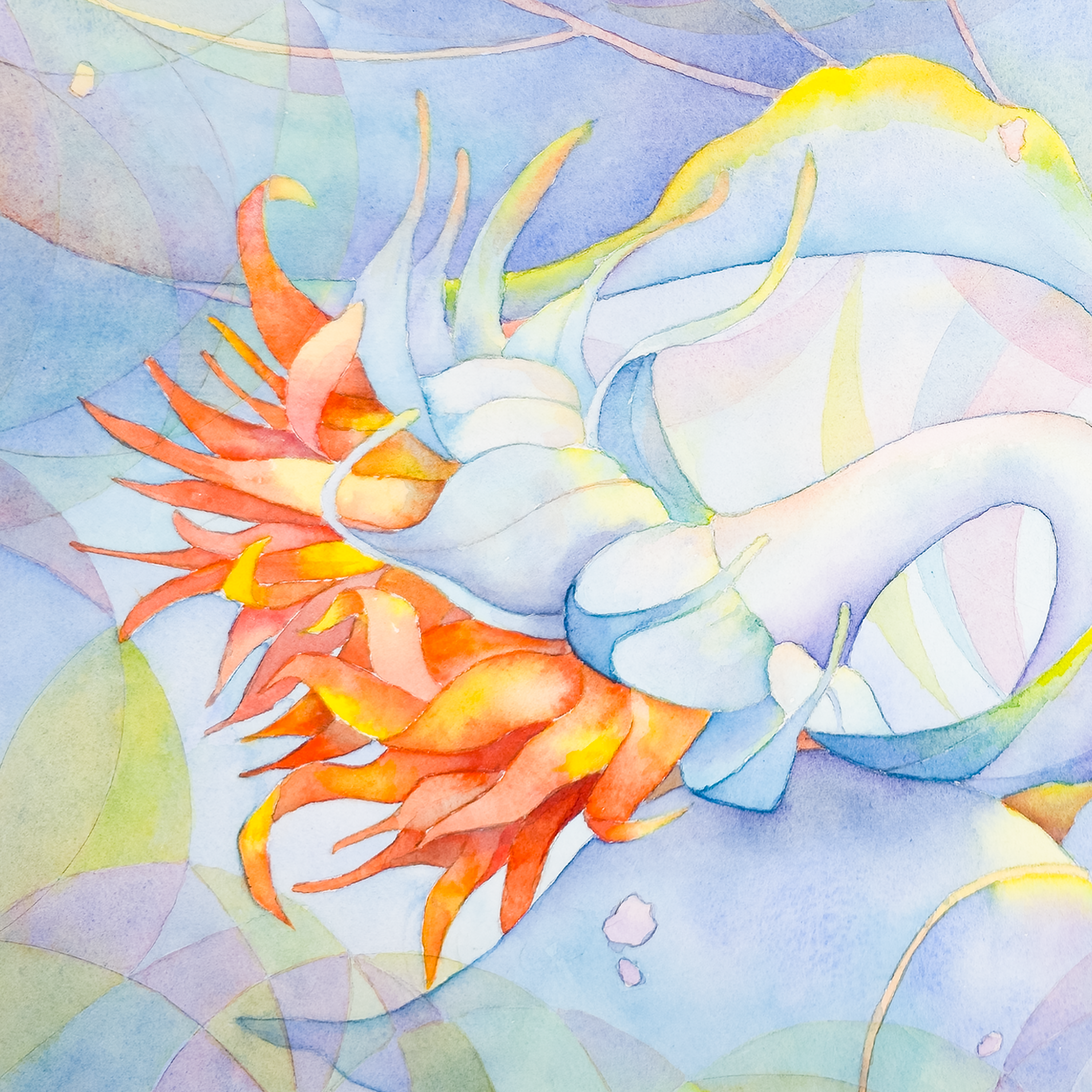 Danish Pastel Sunflowers - Tomoko Parry