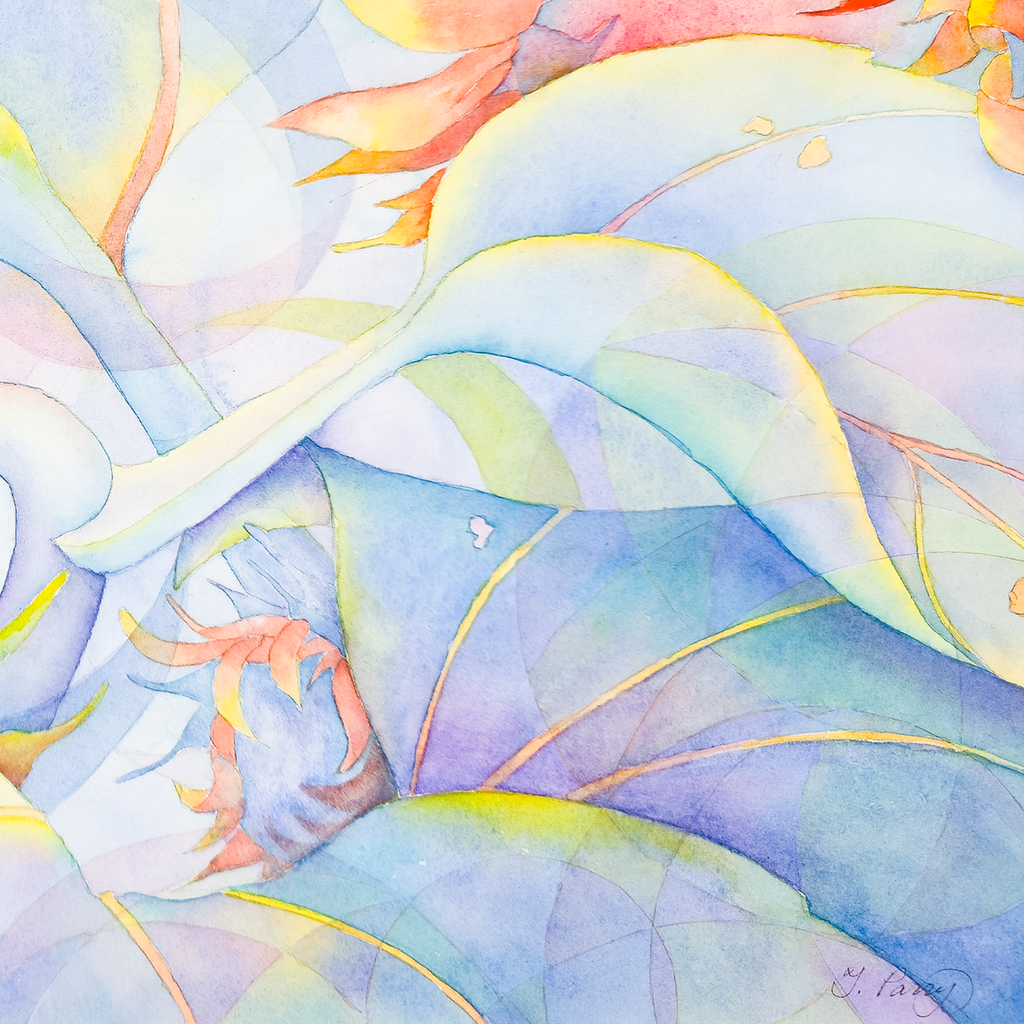 Danish Pastel Sunflowers - Tomoko Parry