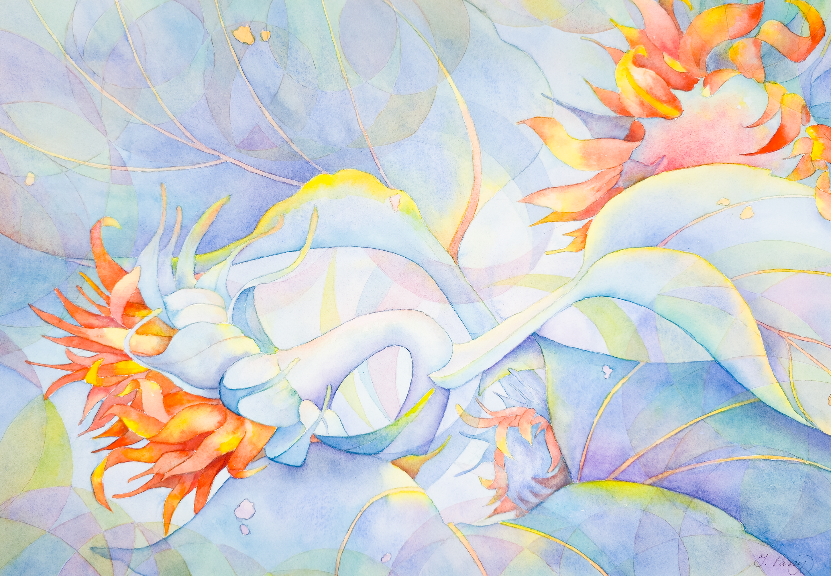 Danish Pastel Sunflowers - Tomoko Parry