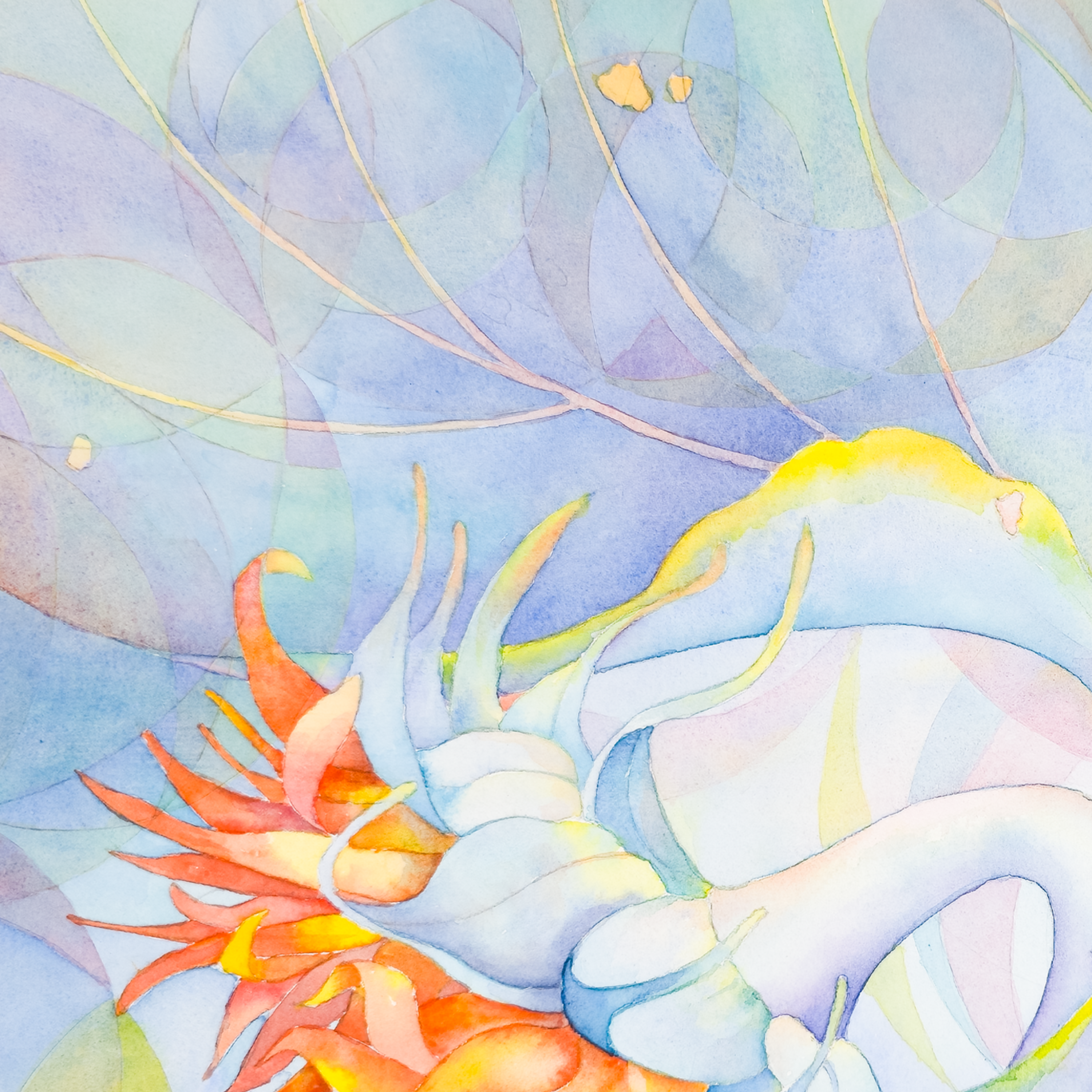 Danish Pastel Sunflowers - Tomoko Parry