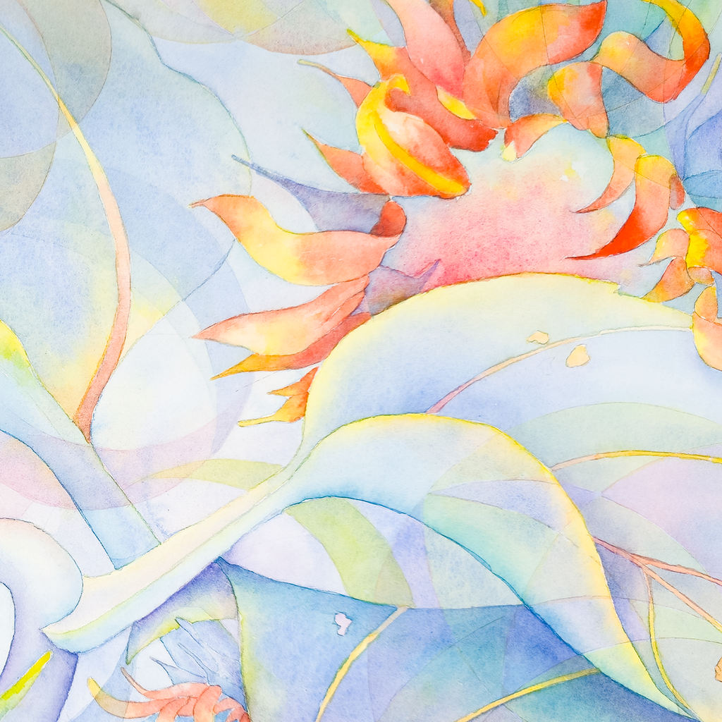Danish Pastel Sunflowers - Tomoko Parry