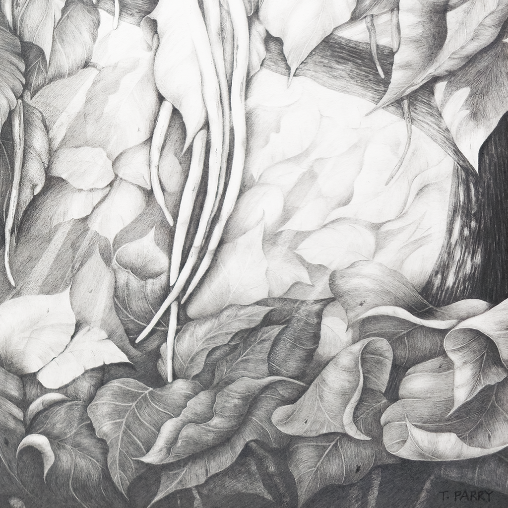 Cigar Tree #2 - Tomoko Parry