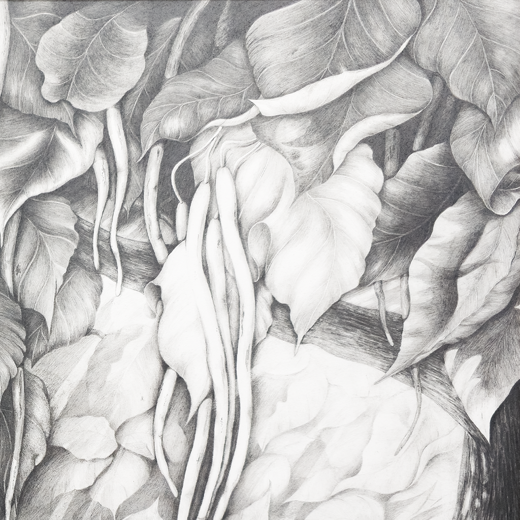 Cigar Tree #2 - Tomoko Parry