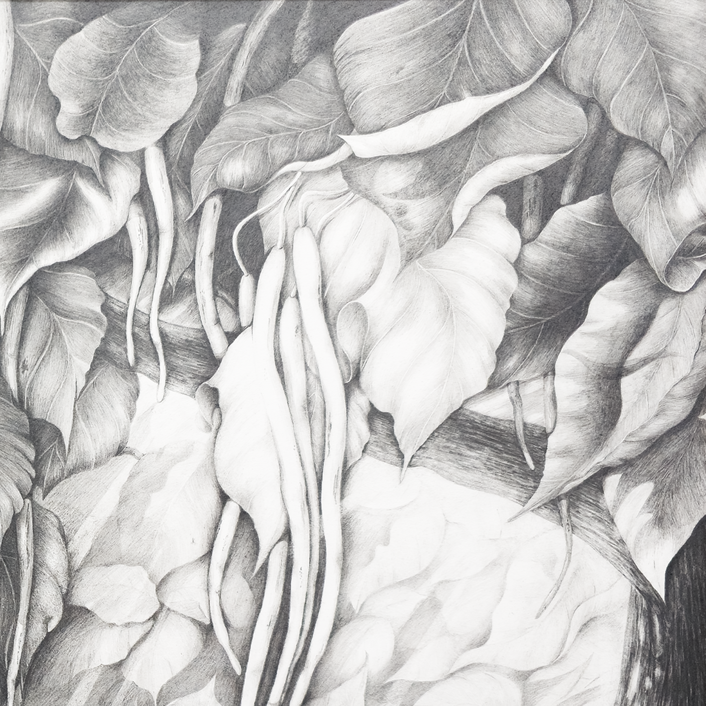 Cigar Tree #2 - Tomoko Parry