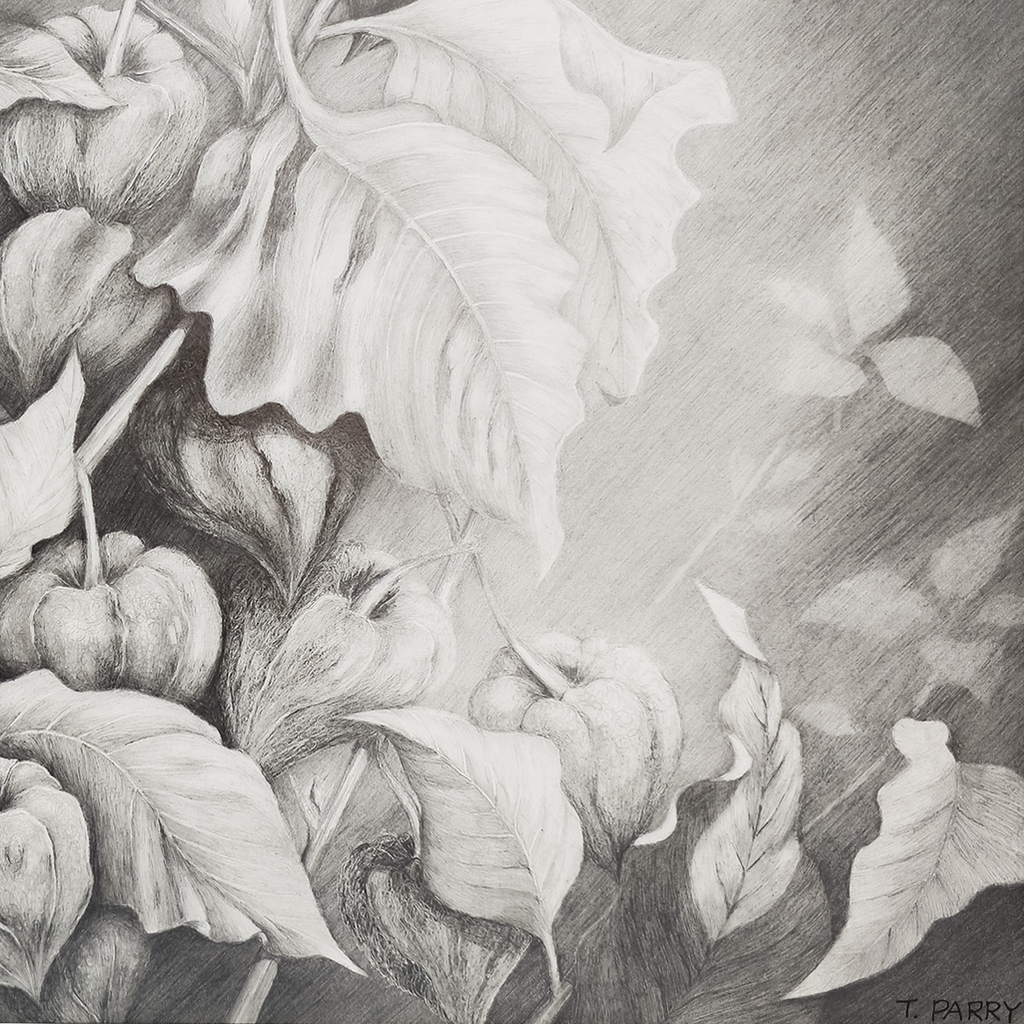 Chinese Lantern #2 - Tomoko Parry