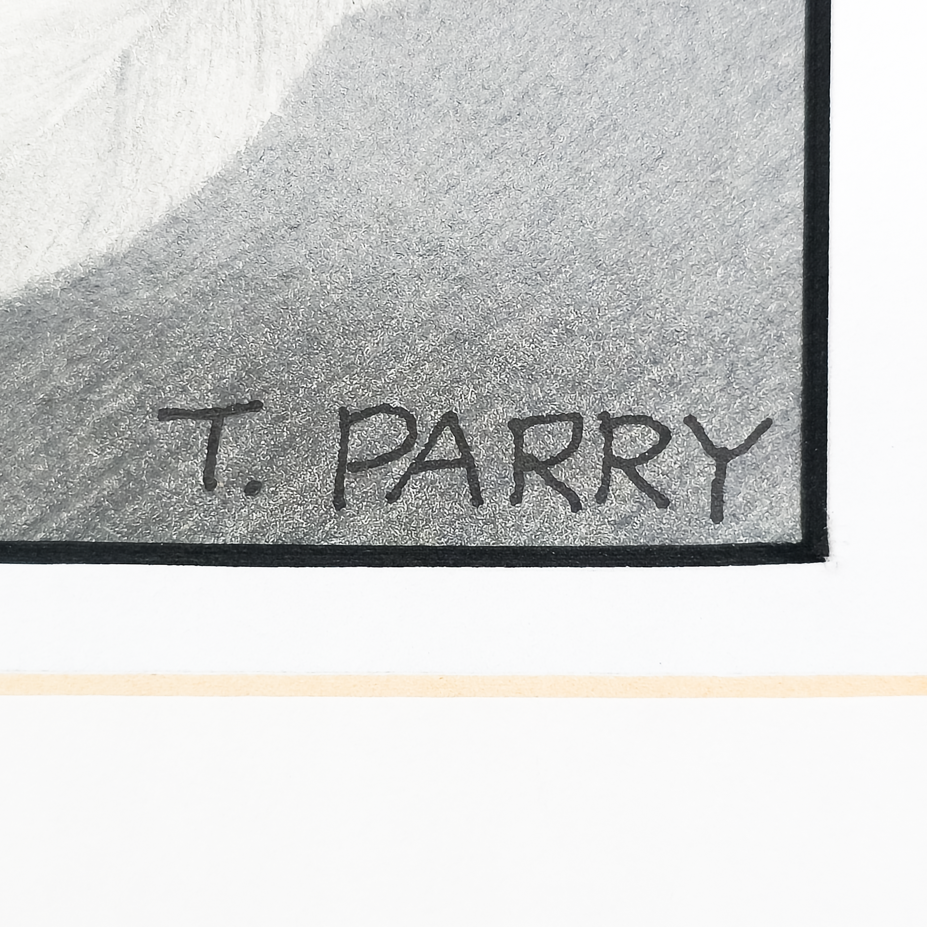 Chinese Lantern #2 - Tomoko Parry