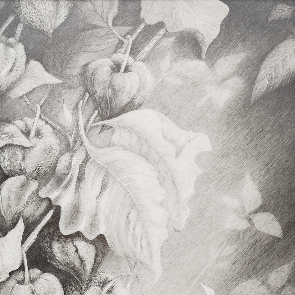 Chinese Lantern #2 - Tomoko Parry