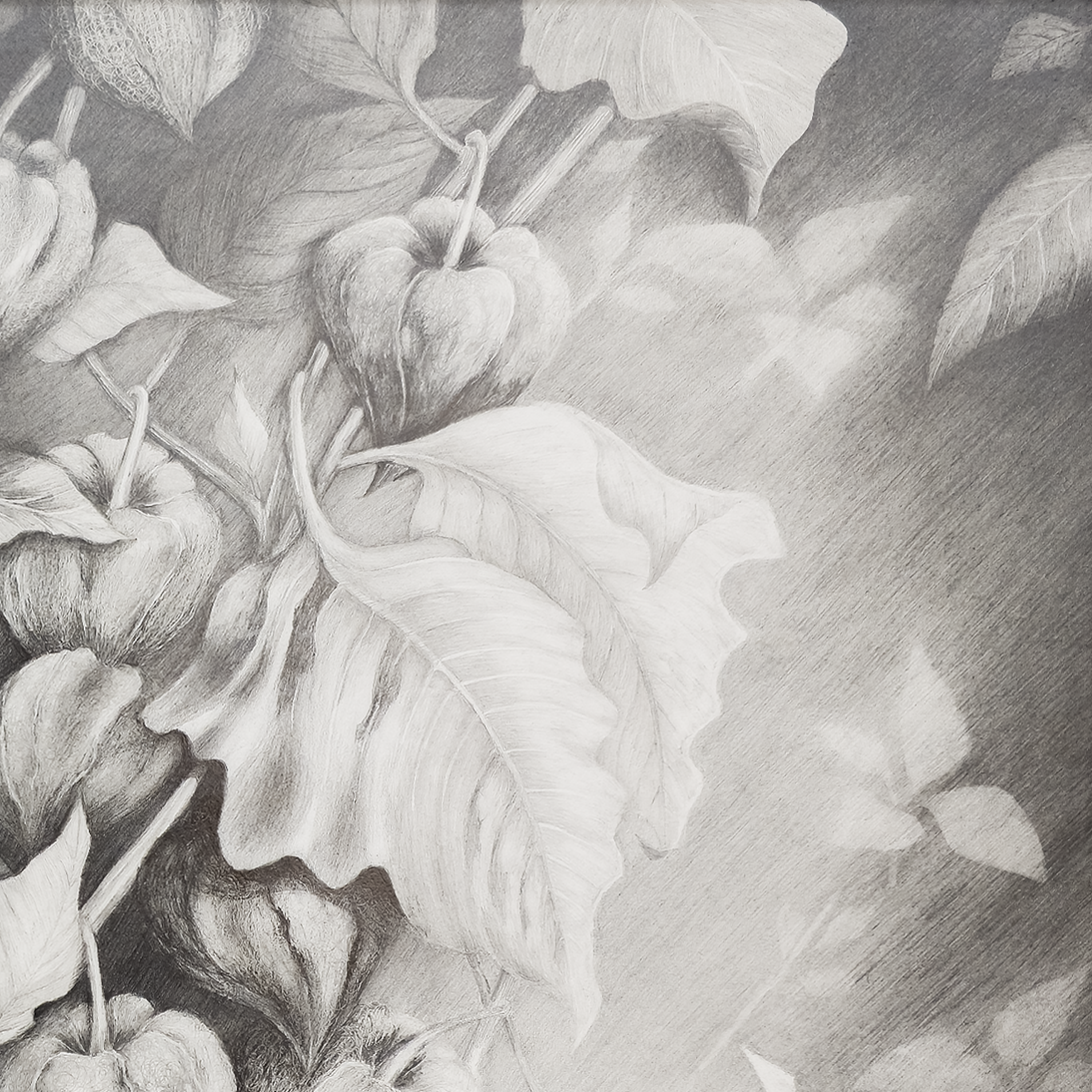 Chinese Lantern #2 - Tomoko Parry