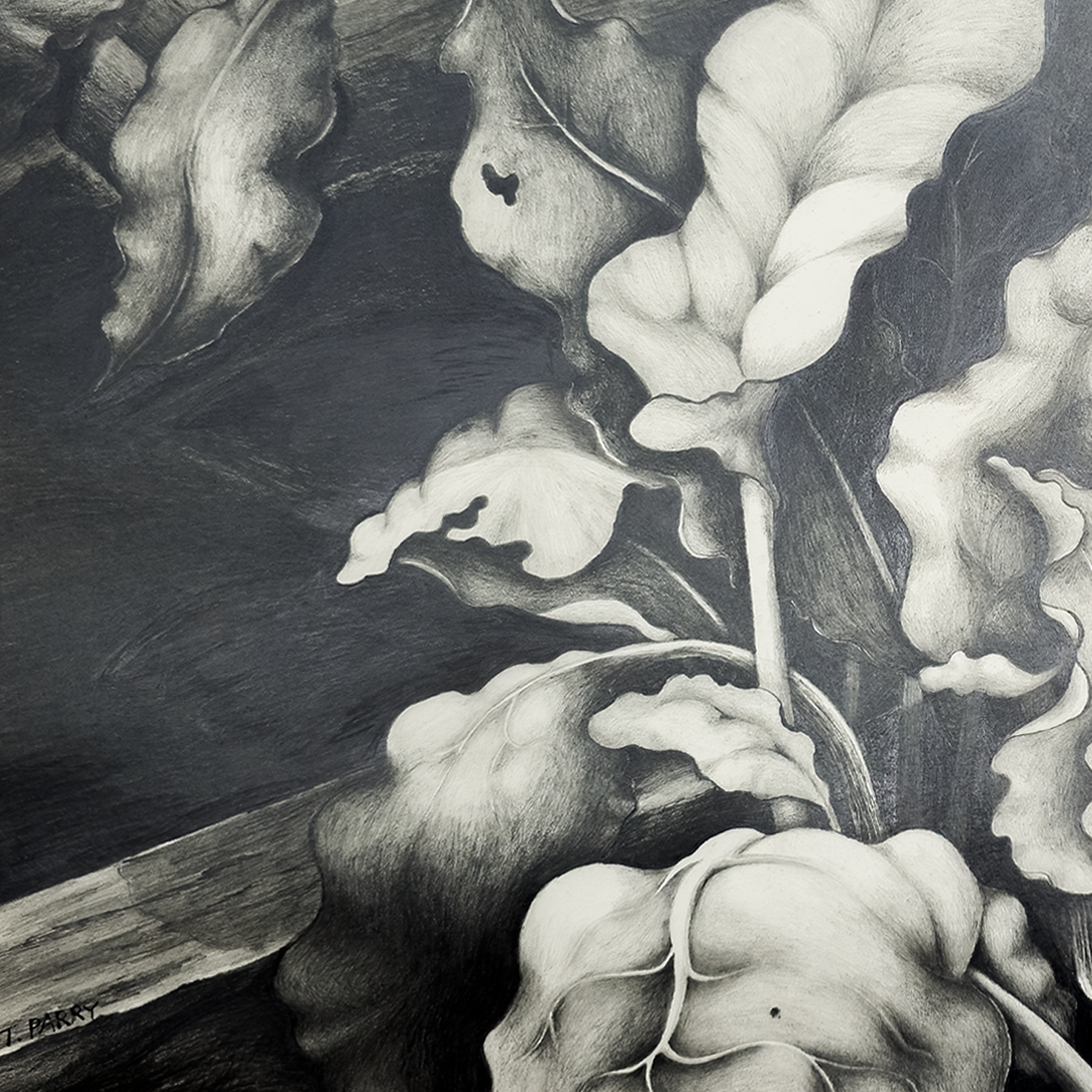 After the Bloom - Tomoko Parry