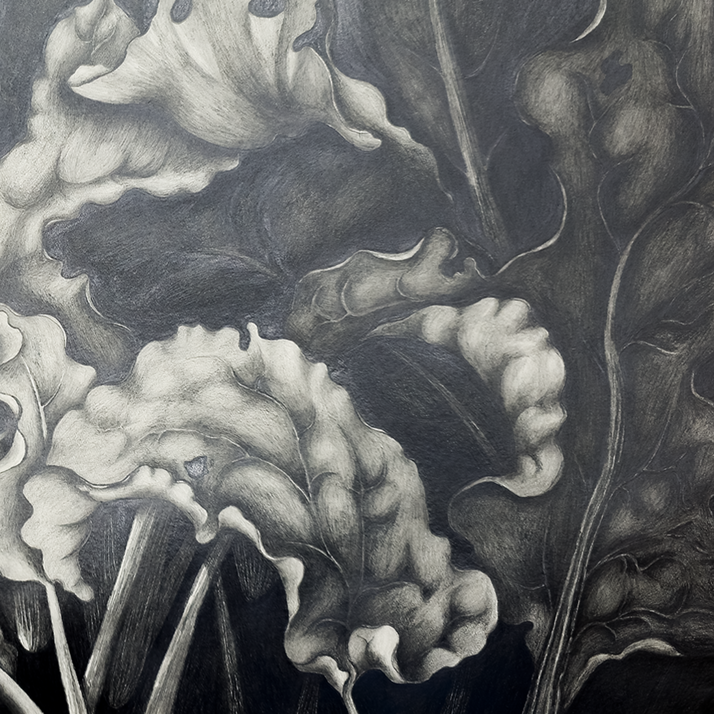 After the Bloom - Tomoko Parry