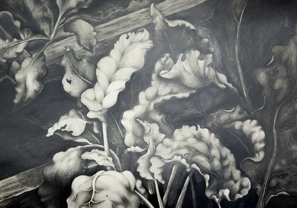 After the Bloom - Tomoko Parry