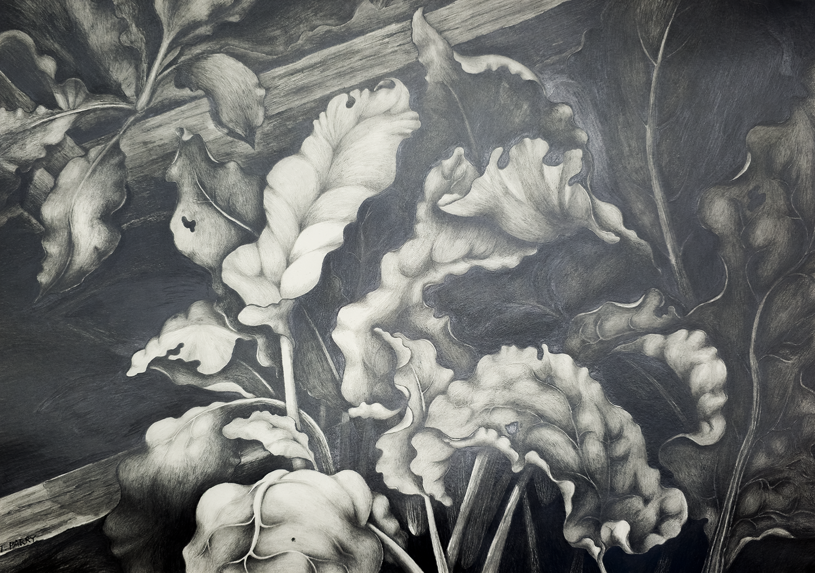 After the Bloom - Tomoko Parry