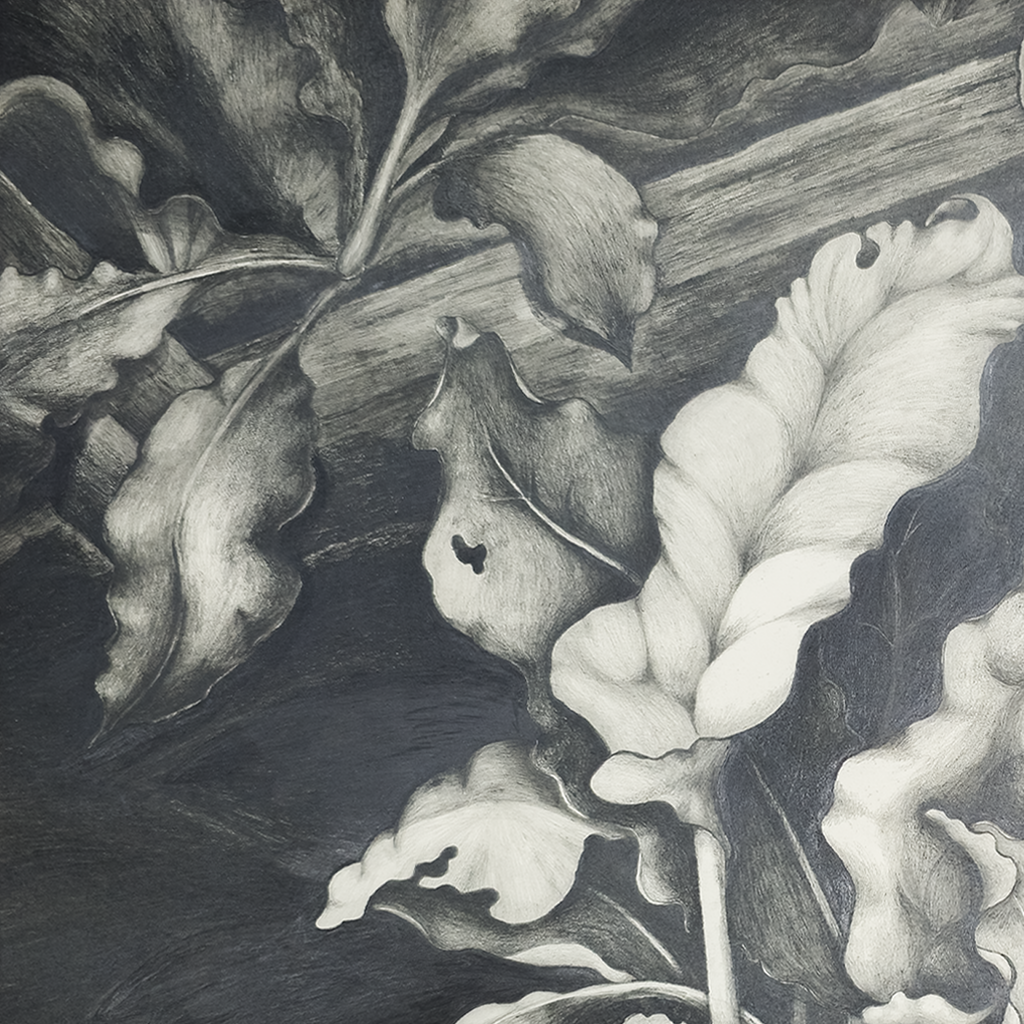 After the Bloom - Tomoko Parry