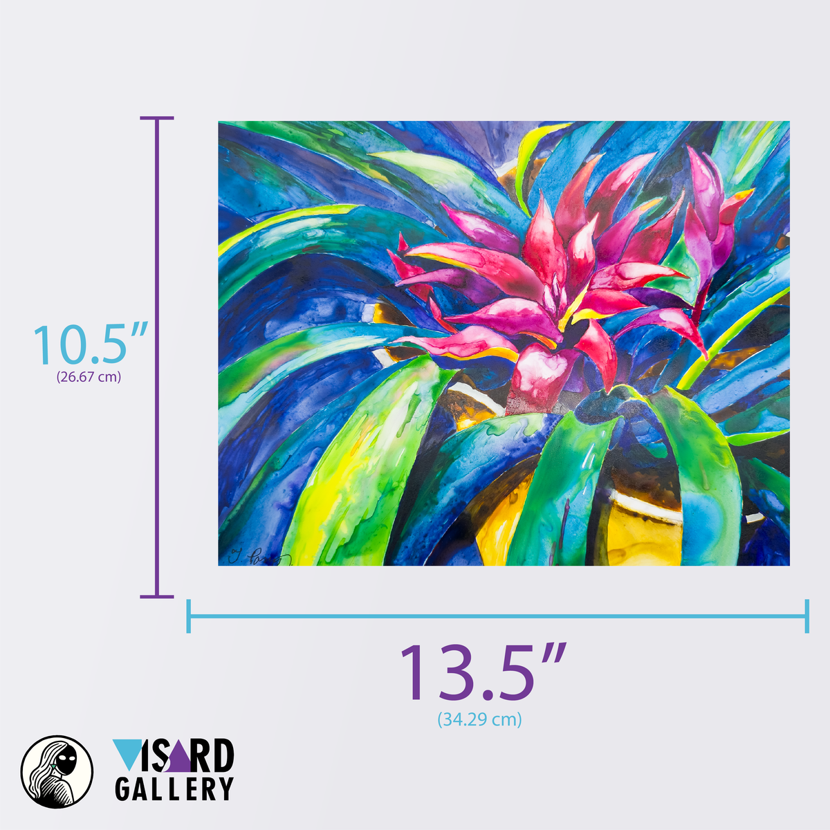 Ruby Bromeliad - Tomoko Parry