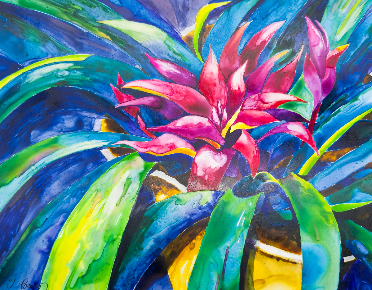 Ruby Bromeliad - Tomoko Parry