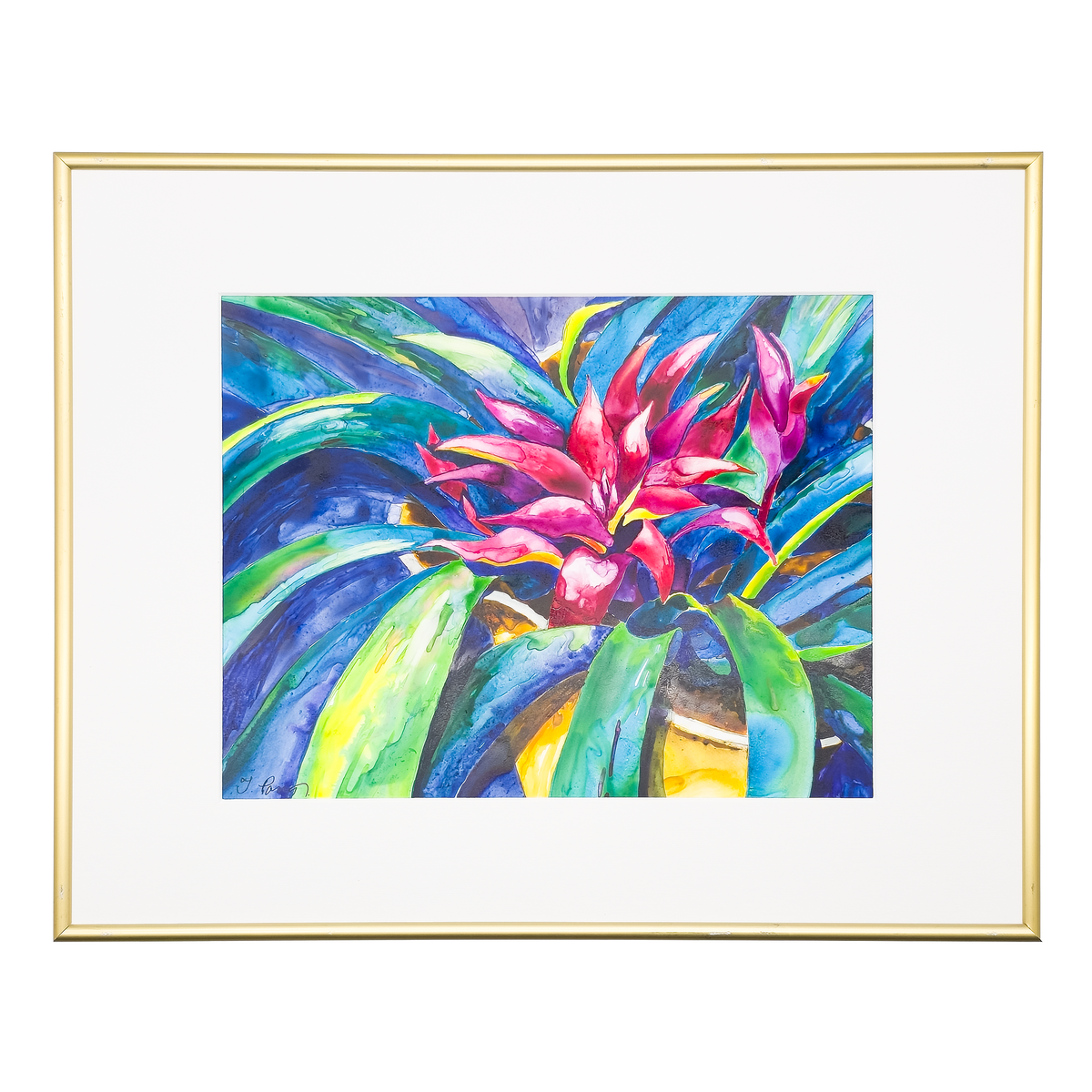 Ruby Bromeliad - Tomoko Parry