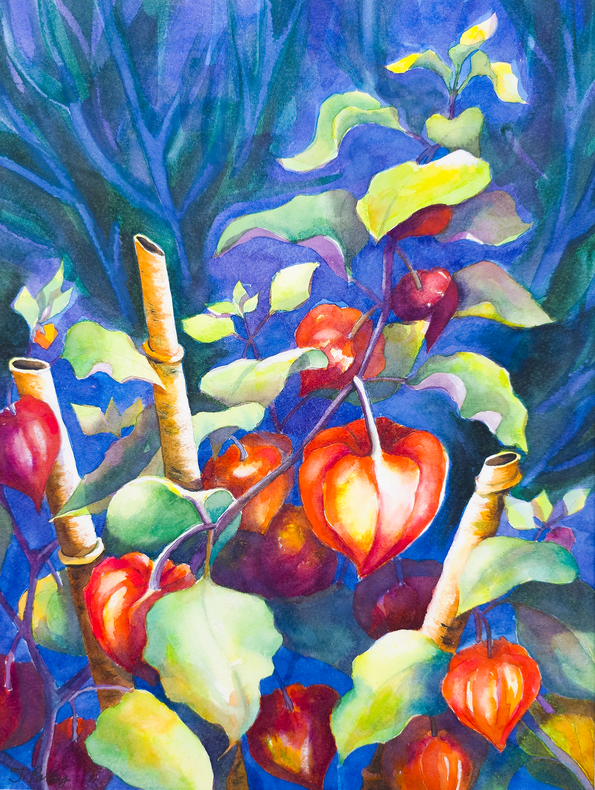 Chinese Lantern #5 - Tomoko Parry