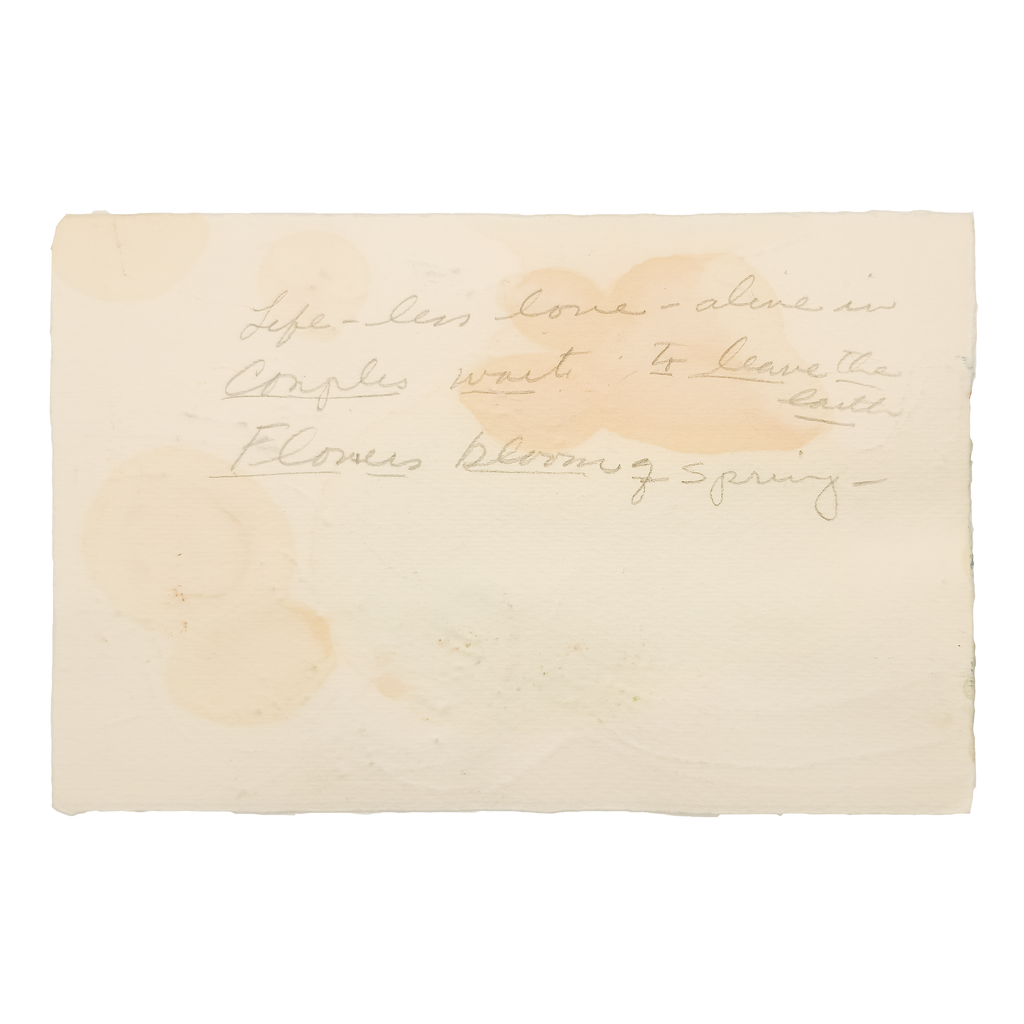 Lifeless Love - Eva Bouzard-Hui