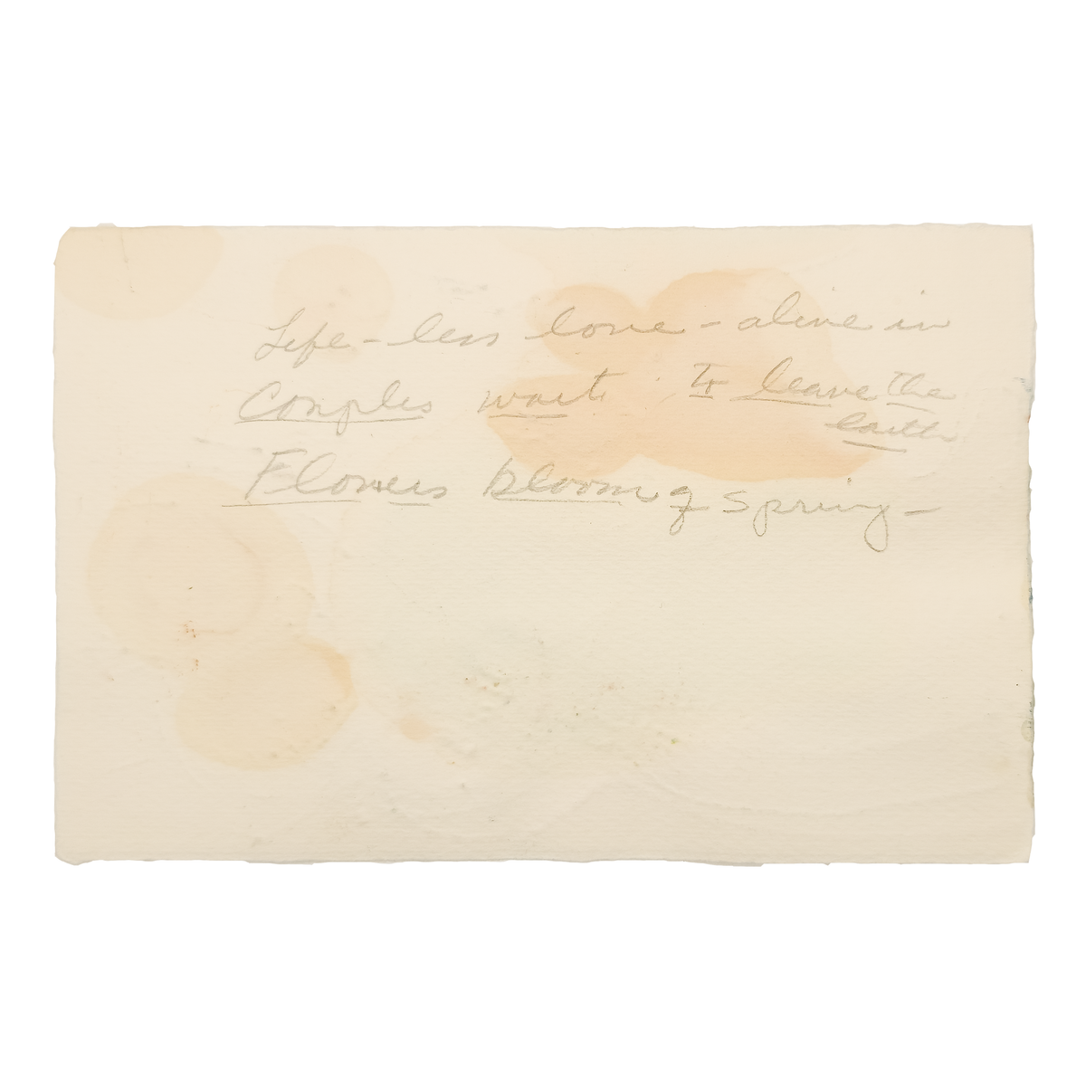 Lifeless Love - Eva Bouzard-Hui