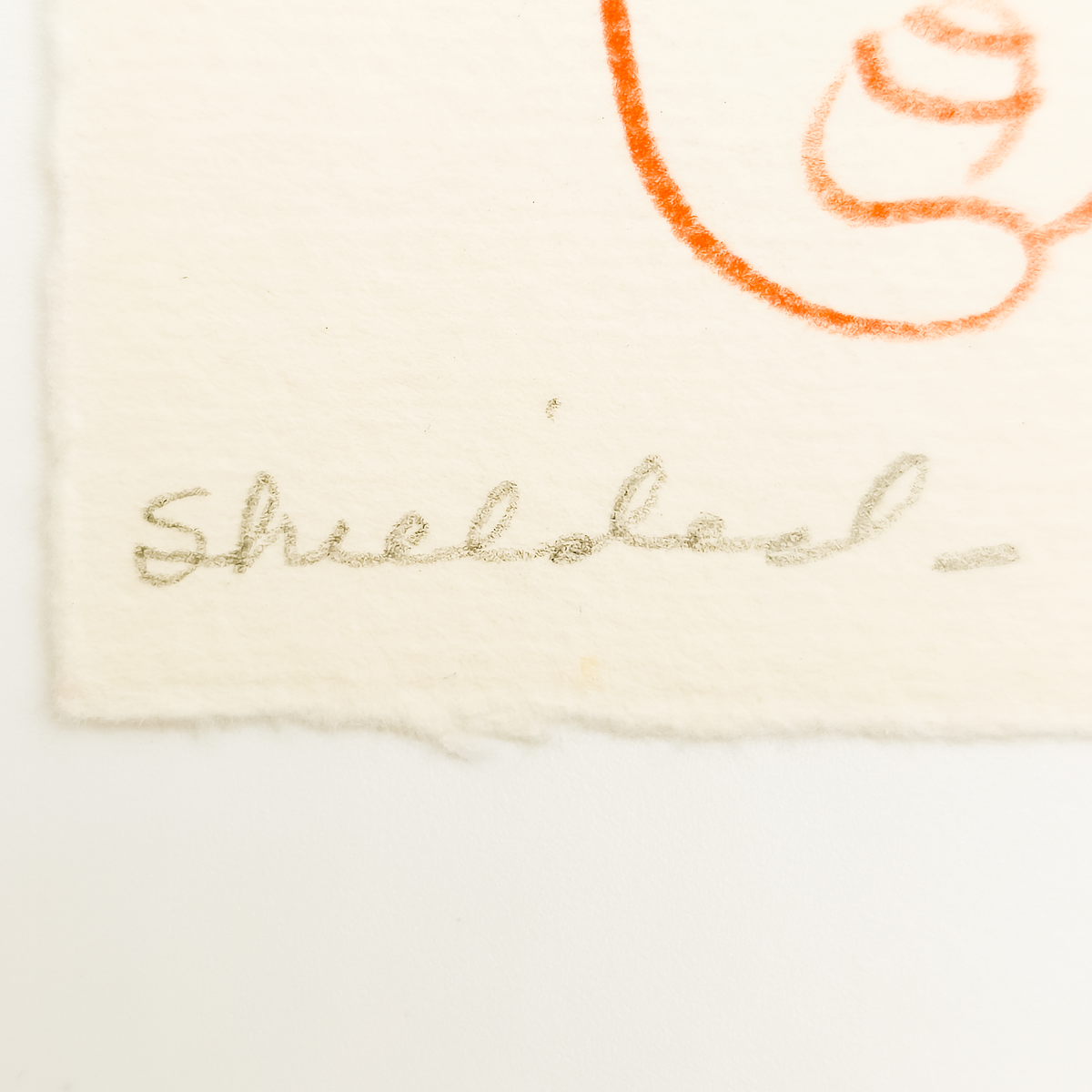 Shielded - Eva Bouzard-Hui