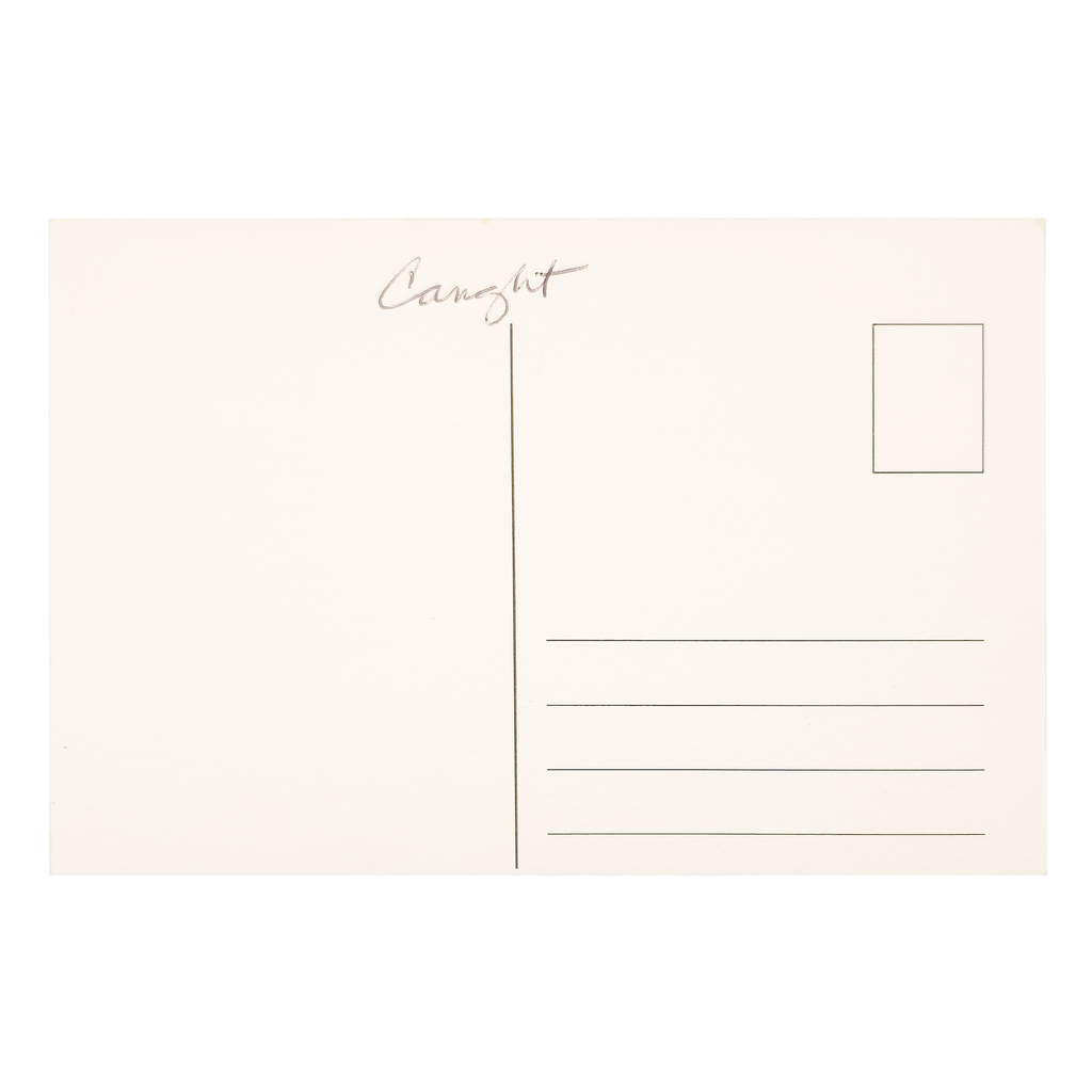Caught - Eva Bouzard-Hui