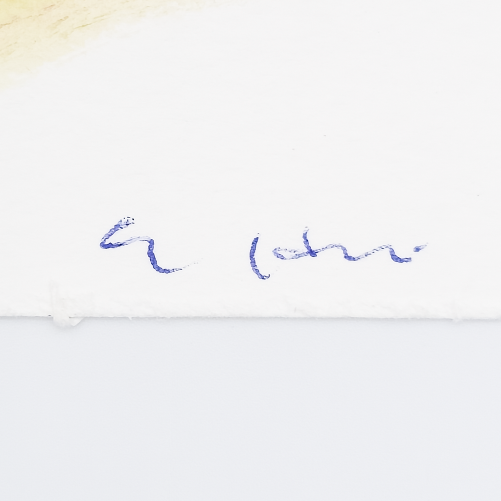 Solemn Questions? - Eva Bouzard-Hui