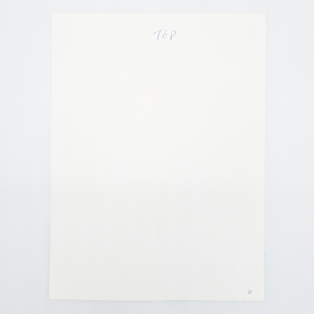 Fullness Complaints - Eva Bouzard-Hui