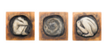 Within Rage Lunar Lunatic, The Vortex, Within Terror Losing Life - Rebecca J. Stephany