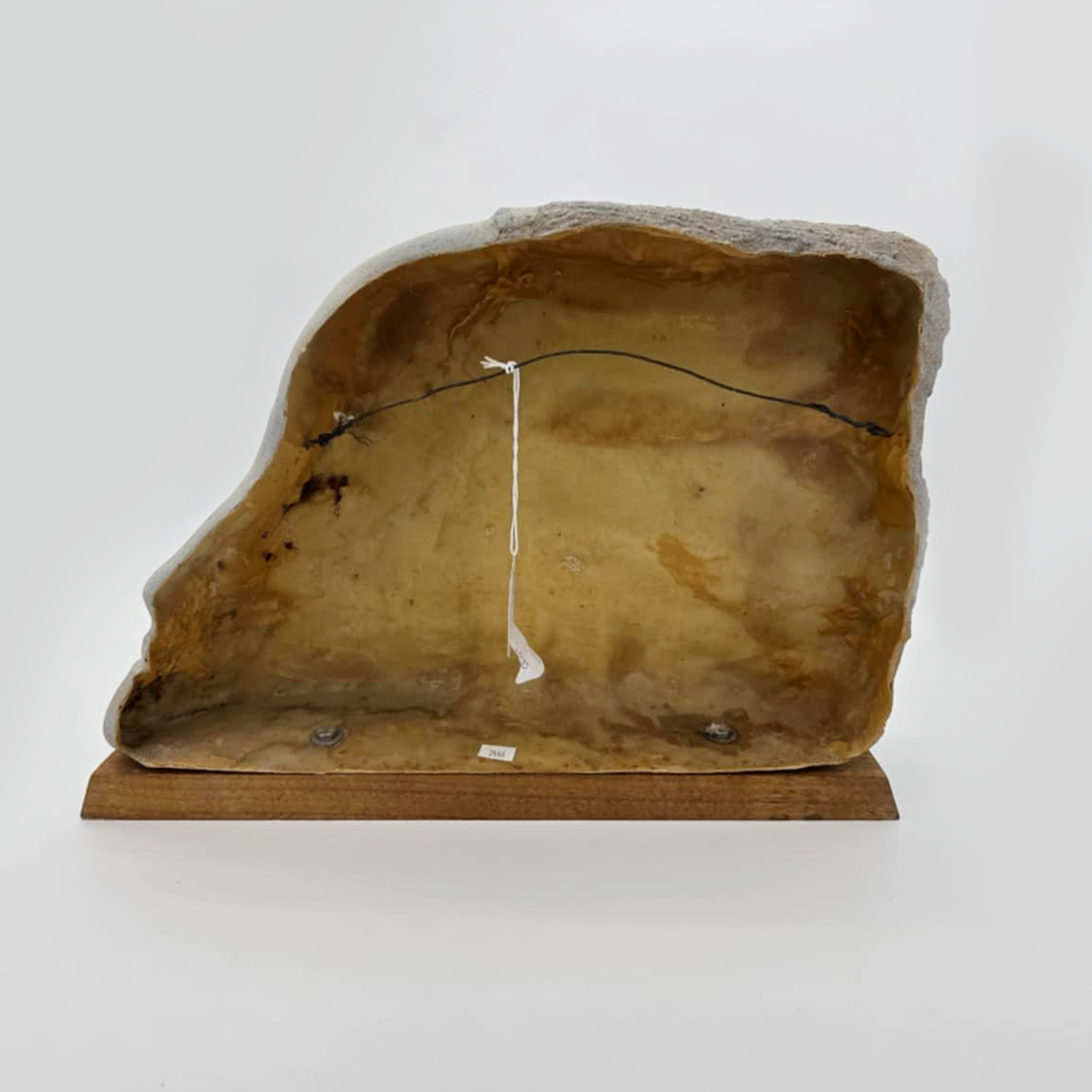 Mid-Century Fiberglass Sculpture with Wooden Base