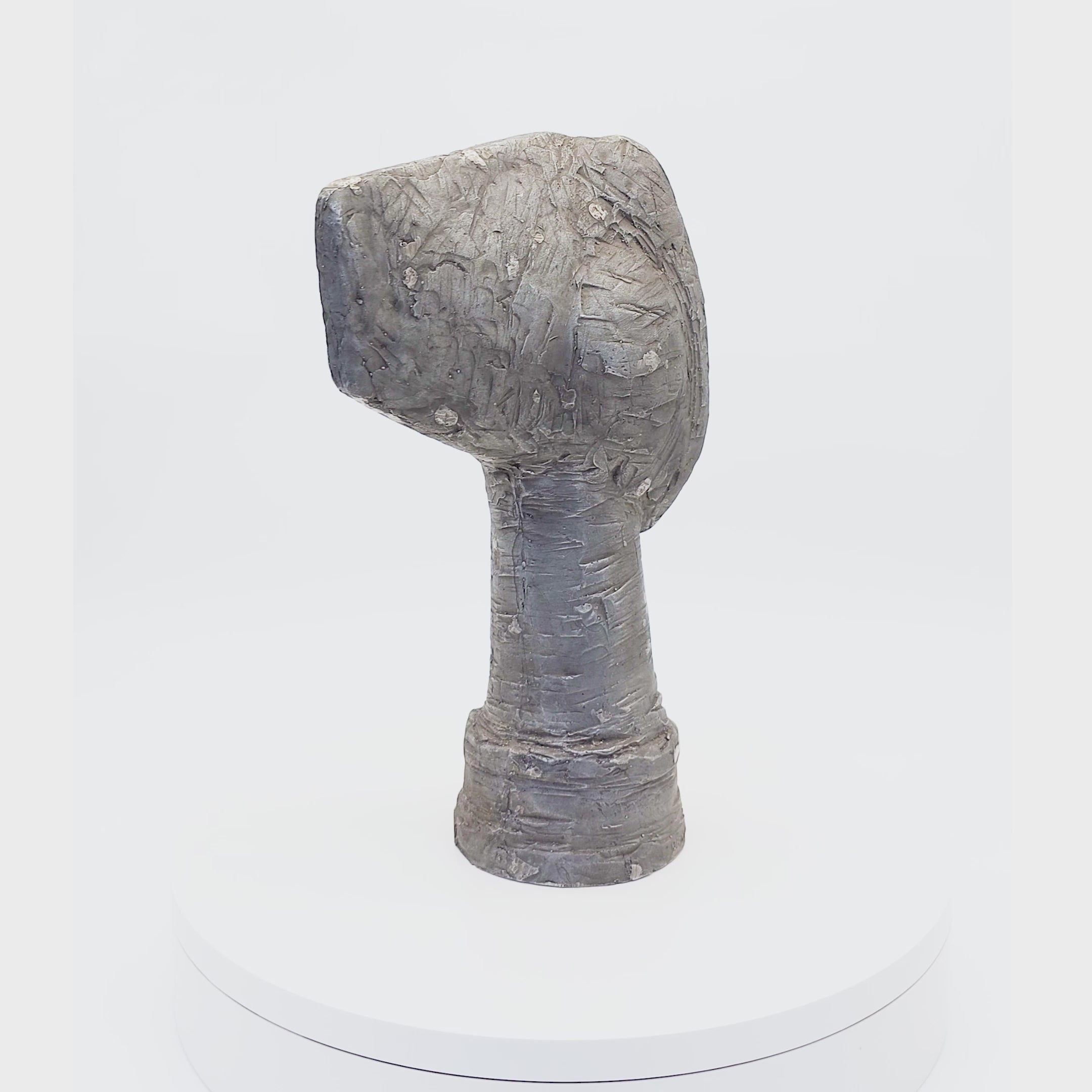 Brutalist Bust by James Wenkle